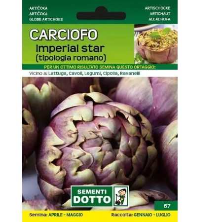 DOTTO SEMI DI CARCIOFO IMPERIAL STAR TIPO ROMANO