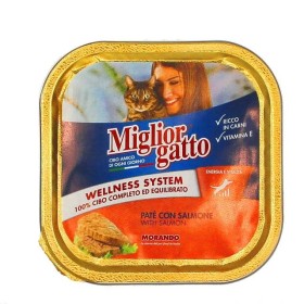 MG PATÈ 100GR SALMONE