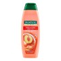 PALMOLIVE SH.350ML BALANCE 2IN1