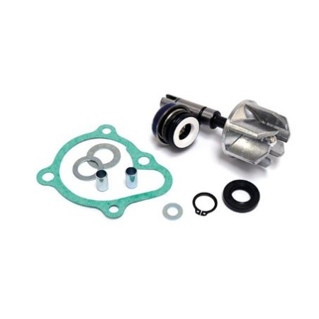 KIT RIPARAZIONE POMPA ACQUA PER MOTO KYMCO 300 DOWNTOWN/PEOPLE GT