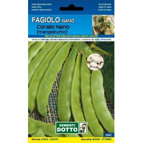 SEMI DI FAGIOLO NANO CORALLO MANGIATUTTO GR. 250