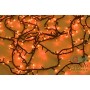 MINILUCCIOLE FOR INDOOR LED 180 LIGHTS RED