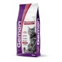 GEMON CAT GATTO STERILIZZATO MANZO Kg.2