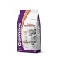 GEMON CAT KITTEN SALMONE/RISO Kg.2