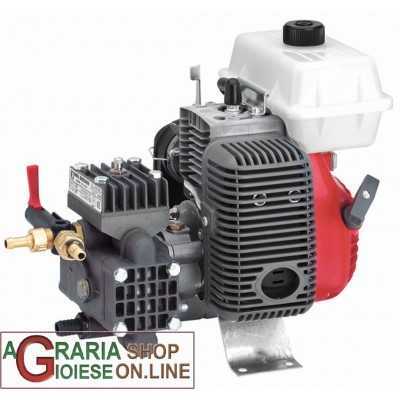 DAL DEGAN SPRAYING MOTOR PUMP MOD. DL 218-S LT / M 18 ATM20