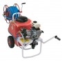 DAL DEGAN MOTOR PUMP FOR SPRAYING WITH WHEELBARROW LT. 150