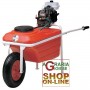 DAL DEGAN MOTOR PUMP FOR SPRAYING WITH WHEELBARROW LT. 65