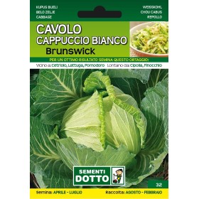 DOTTO SEMI CAVOLO CAPPUCCIO BIANCO BRUNSWICK