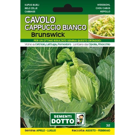 DOTTO SEMI CAVOLO CAPPUCCIO BIANCO BRUNSWICK