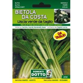 DOTTO SEMI DI BIETOLA DA COSTA LISCIA VERDE DA TAGLIA