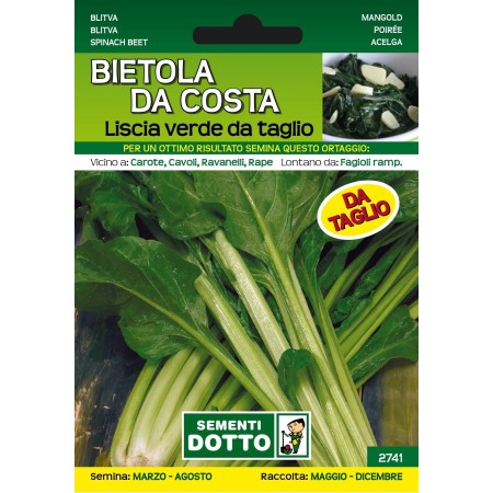 DOTTO SEMI DI BIETOLA DA COSTA LISCIA VERDE DA TAGLIA