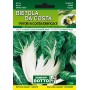 DOTTO SEMI DI BIETOLA DA COSTA VERDE A COSTA BIANCA 3