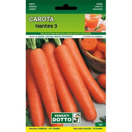 DOTTO SEMI DI CAROTA NANTES 3