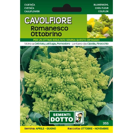 DOTTO SEMI DI CAVOLFIORE ROMANESCO OTTOBRINO