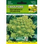DOTTO SEMI DI CAVOLFIORE ROMANESCO OTTOBRINO