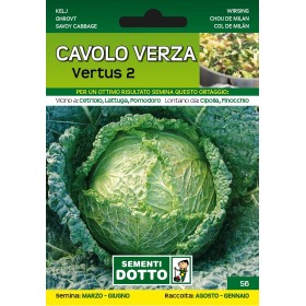 DOTTO SEMI DI CAVOLO VERZA VERTUS 2