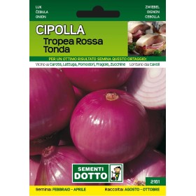 DOTTO SEMI DI CIPOLLA DI TROPEA TONDA