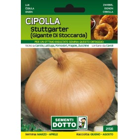 DOTTO SEMI DI CIPOLLA GIGANTE DI STOCCARDA