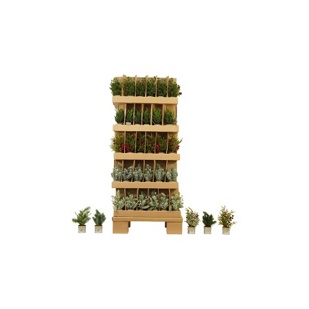 NATALUNA PIANTINA ALBERO NATALE 23CM M.ZVS IN PALLET
