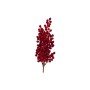 NATALUNA PICK BACCHE VELL.105CM M.TYF-2243H BORD.