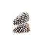 NATALUNA SET 2 APPENDINI PIGNE M.450 BIANCO