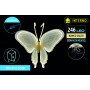NATALUNA FARFALLA LUMINOSA  CON MOVIMENTO  246LED LUCE BIANCO CALDO PER USO INTERNO CM. 30x43x32