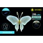 NATALUNA FARFALLA LUMINOSA  CON MOVIMENTO 246LED LUCE BIANCO FREDDO CM.  30x43x32