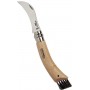 OPINEL COLTELLO COGLIFUNGHI N. 8 1252 