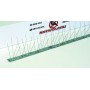 BOLLARDS FOR BIRDS 303/25 CM. 100 - 80 PINS FOR PIGEONS