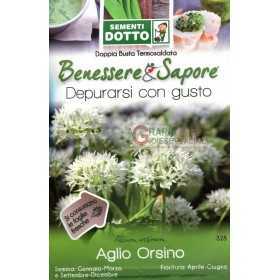 DOTTO BUSTE SEMI DI AGLIO ORSINO 
