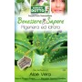 DOTTO BUSTE SEMI DI ALOE VERA 