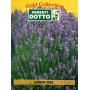 DOTTO BUSTE SEMI DI LAVANDA VERA 