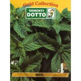 DOTTO MINT SEED BAGS