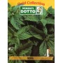 DOTTO BUSTE SEMI DI MENTA 