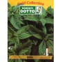 DOTTO MINT SEED BAGS