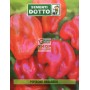DOTTO BUSTE SEMI DI PEPERONCINO HABANERO 