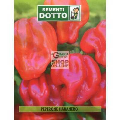 DOTTO BAGS SEEDS OF CHILI HABANERO
