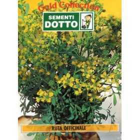 DOTTO BAGS SEEDS OF OFFICINALE RUTA