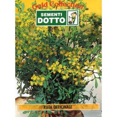 DOTTO BAGS SEEDS OF OFFICINALE RUTA