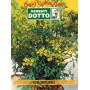 DOTTO BAGS SEEDS OF OFFICINALE RUTA