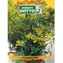 DOTTO BUSTE SEMI DI RUTA OFFICINALE 