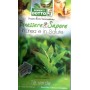DOTTO BAGS SEEDS OF GREEN TEA