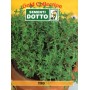 DOTTO BUSTE SEMI DI TIMO COMUNE 