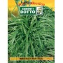 DOTTO ENVELOPES SEMI MINUNTINA GRASS STAR