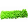 CLOTH FOR BRUSH BLINKY MILLEDITA MICROFIBER MM. 122X435