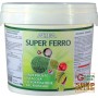 ALTEA SUPER FERRO REINVERDENTE ANTI-MUSK GRANULAR kg. 5