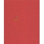 CARPET TRACK MOD. NATAL RED COLOR H. 100