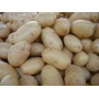 PATATE DA SEME SPUNTA ORIGINALI OLANDESE KG. 25 