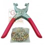 EYELET PLIER WITH EYELETS