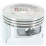PISTON FOR LAWN MOWER JET-SKY DY214 FIG. 23 MM. 65